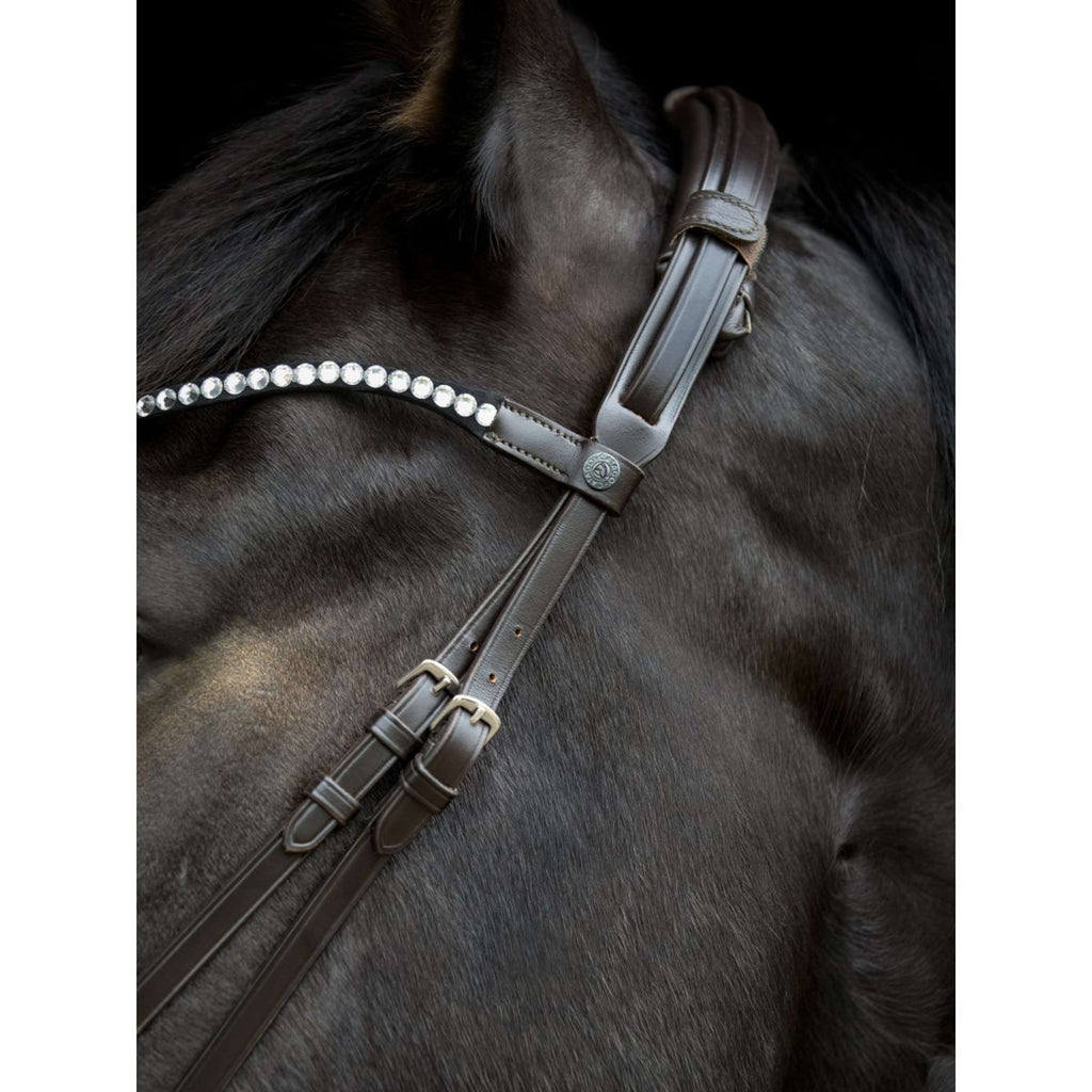 Catago Kopstuk Gentle Bruin