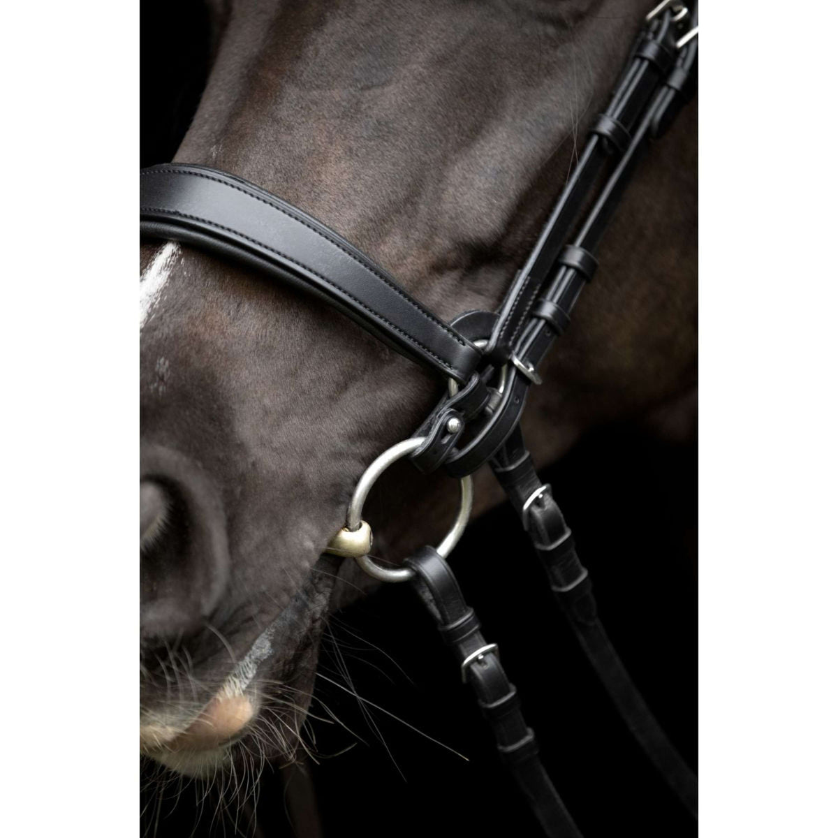 Catago Neusriem Gentle Zwart