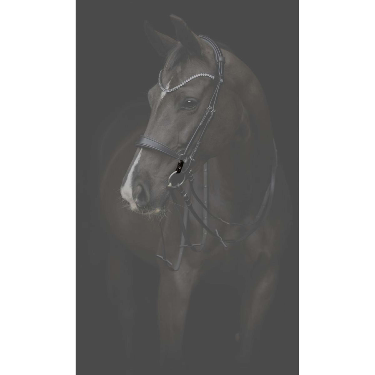 Catago Connecting Rings Gentle Bruin