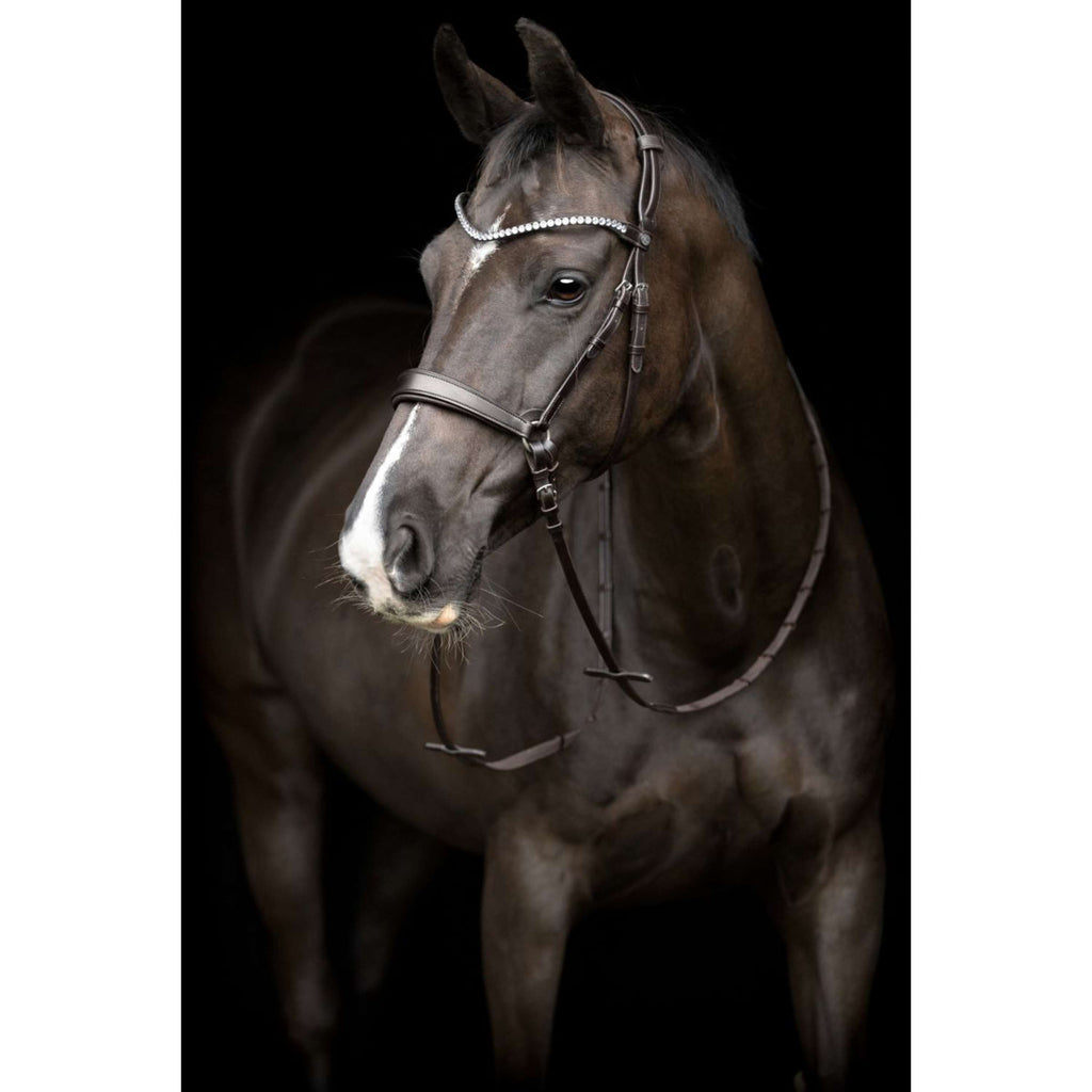 Catago Keelriem Gentle met Gespen Bruin
