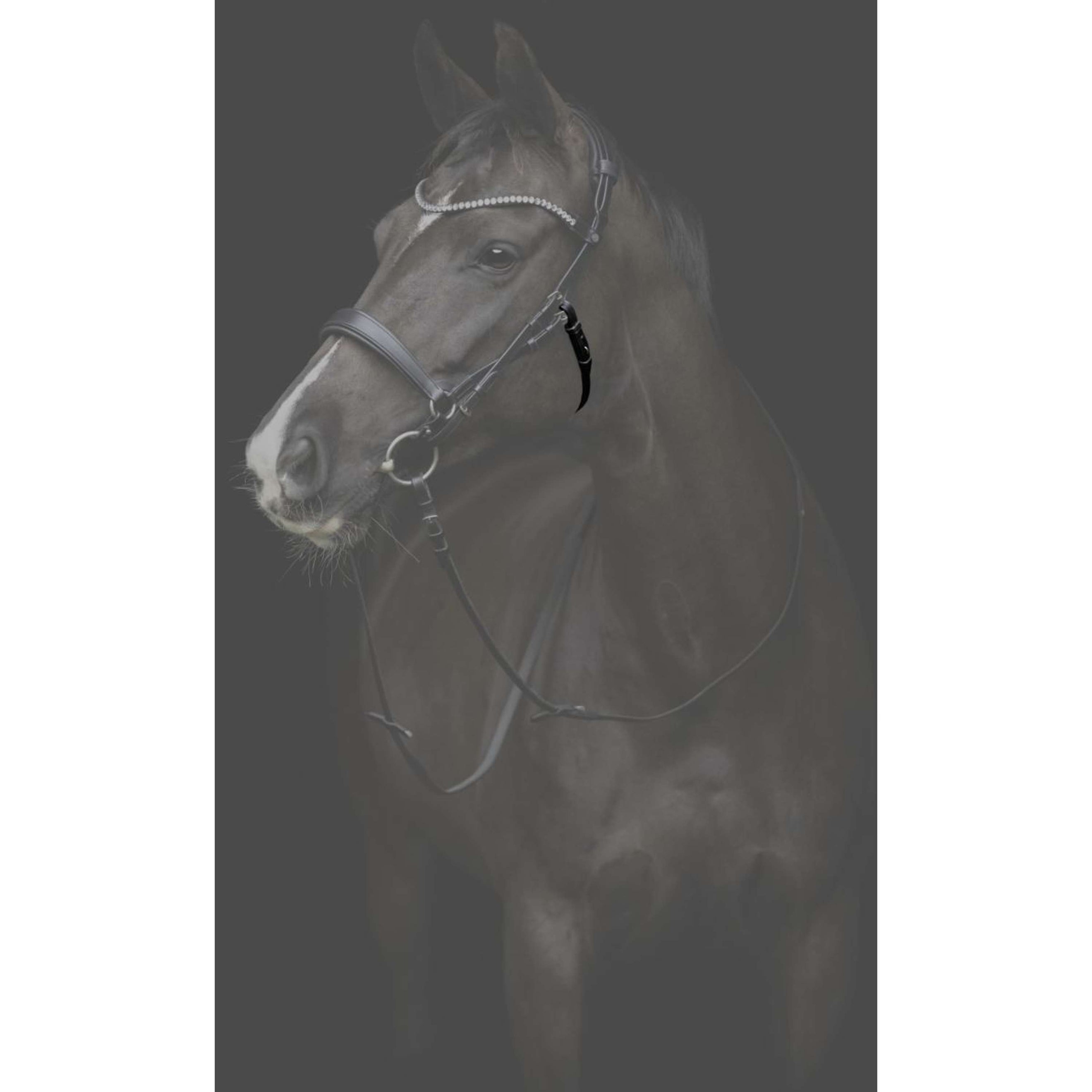 Catago Keelriem Gentle Bruin Catago Keelriem Gentle Bruin