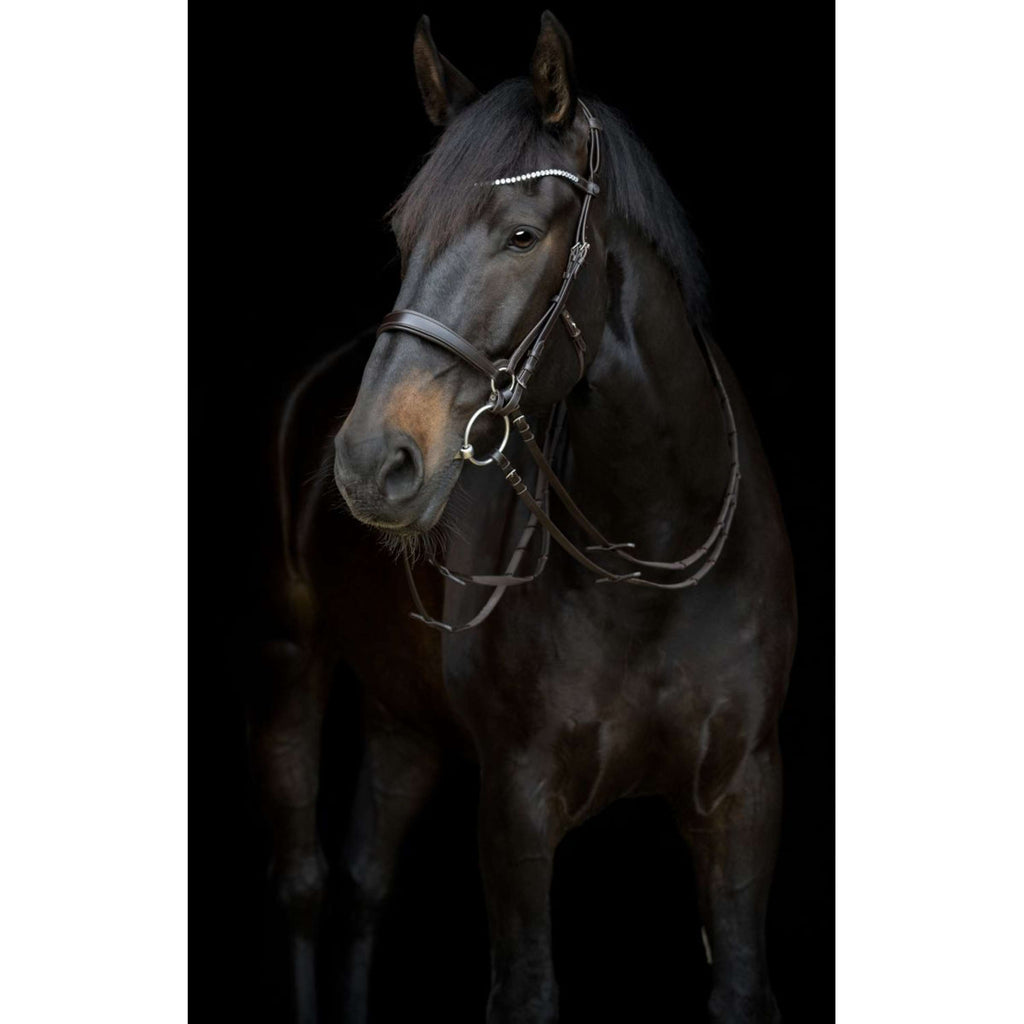 Catago Keelriem Gentle Bruin