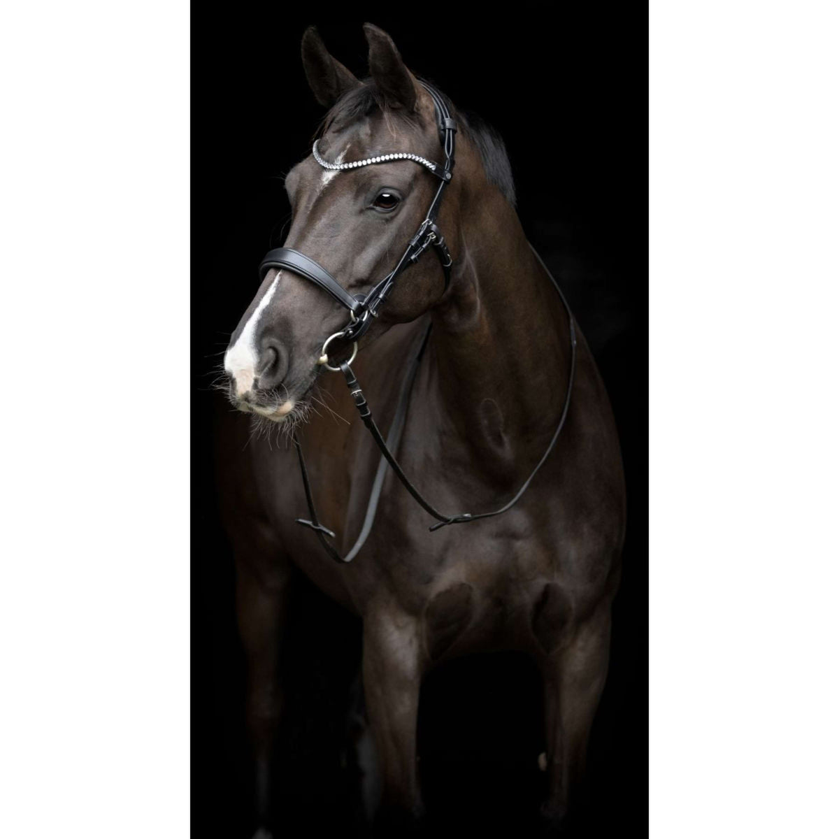 Catago Keelriem Gentle Zwart