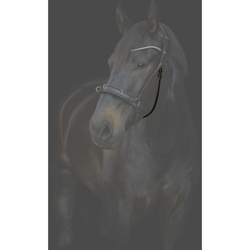 Catago Keelriem Gentle met Gespen Bruin