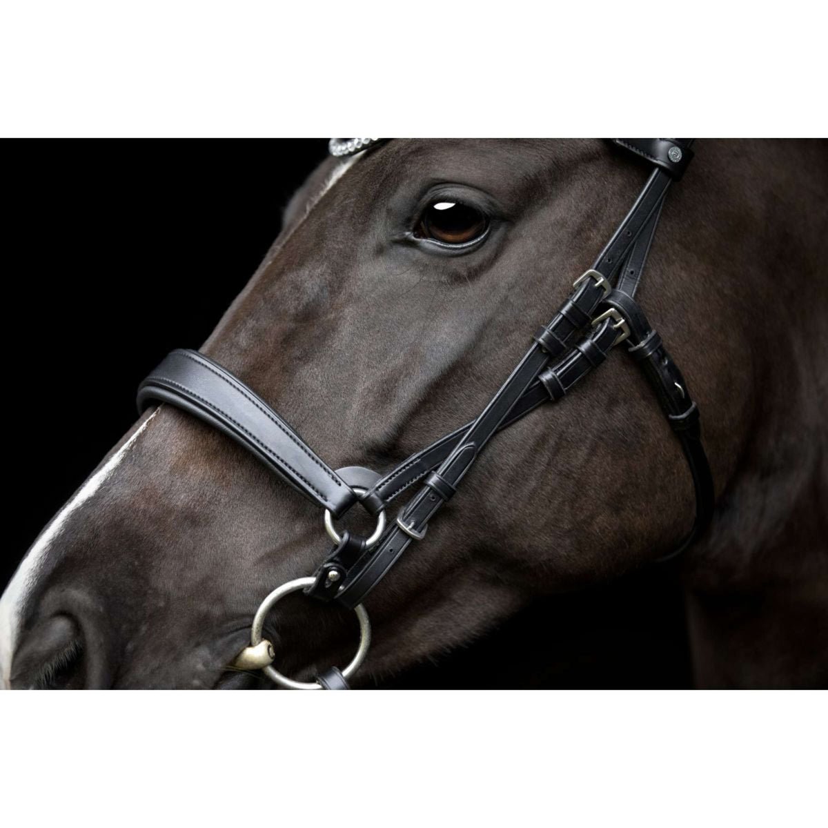 Catago Keelriem Gentle Zwart