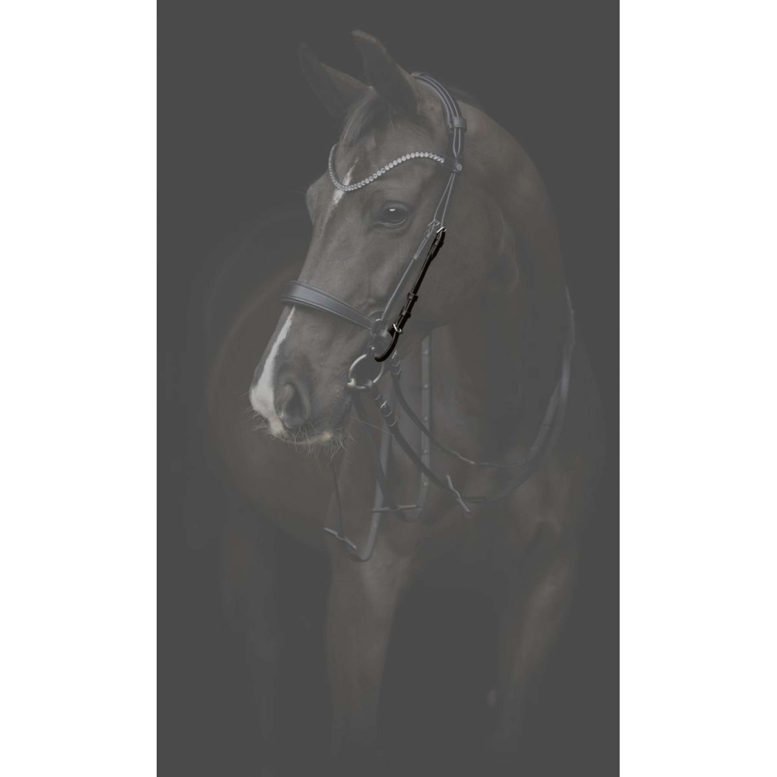 Catago Bakstukken Gentle Zwart Catago Bakstukken Gentle Zwart