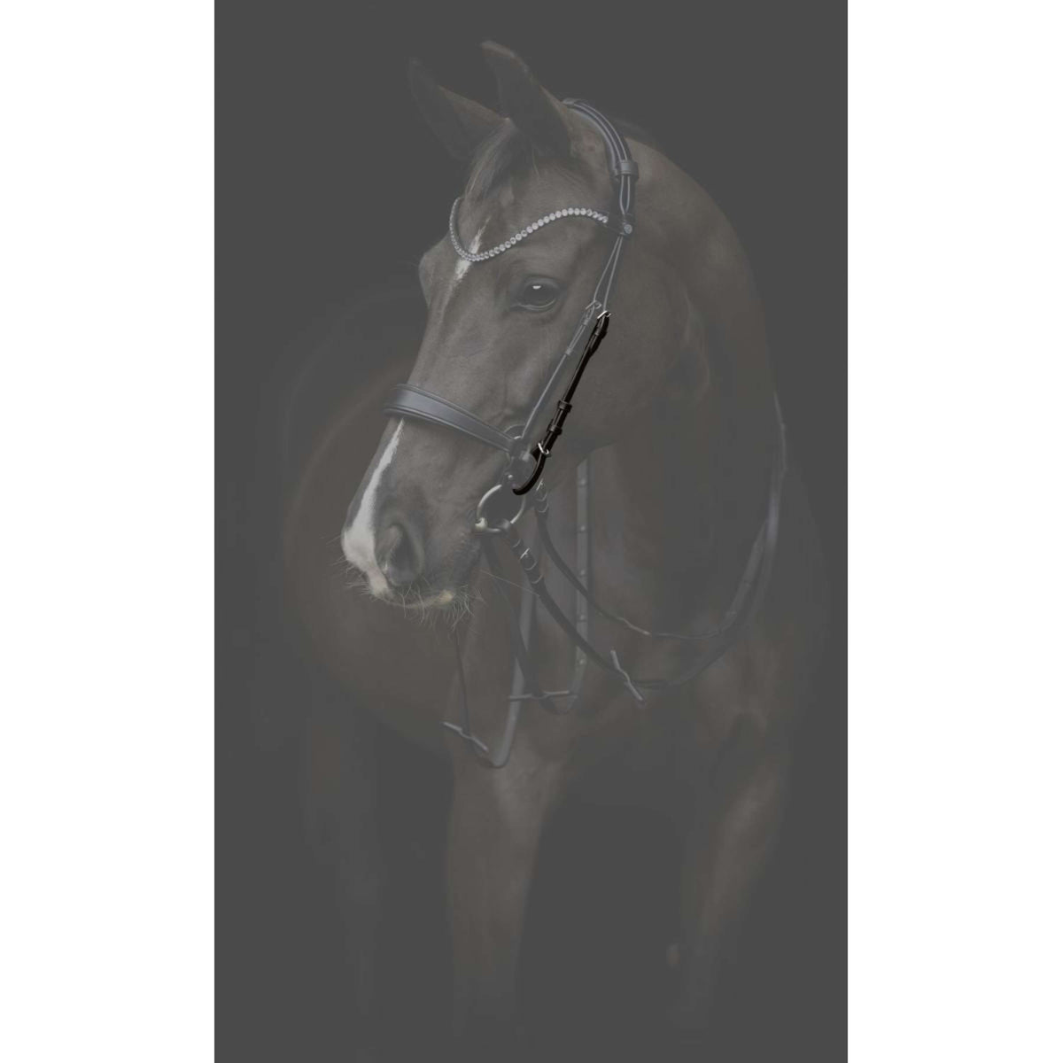 Catago Bakstukken Gentle Zwart