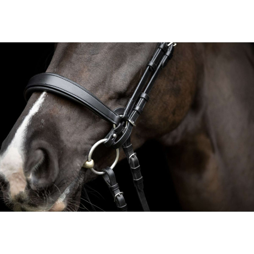 Catago Connecting Rings Gentle Bruin