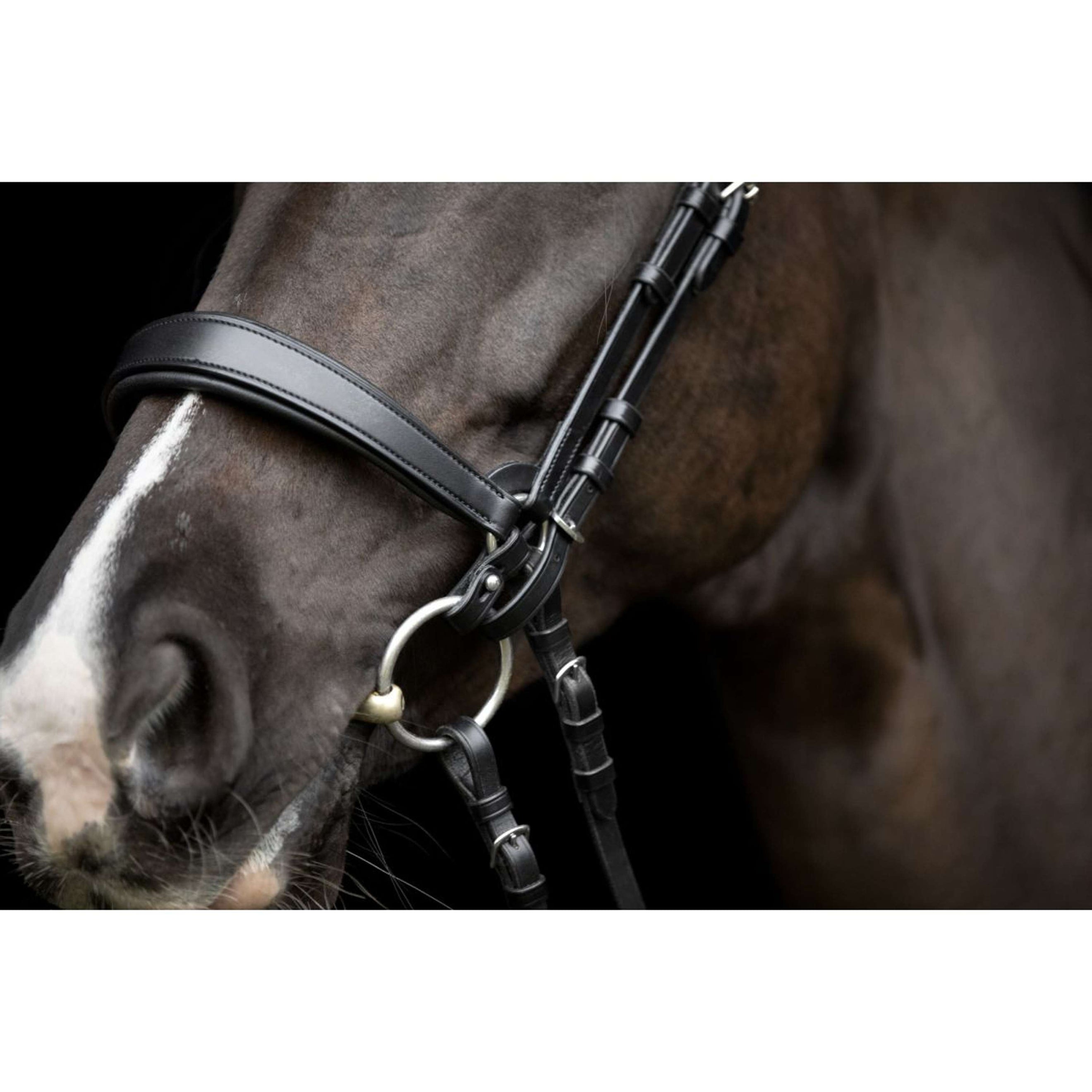 Catago Connecting Rings Gentle Zwart Catago Connecting Rings Gentle Zwart