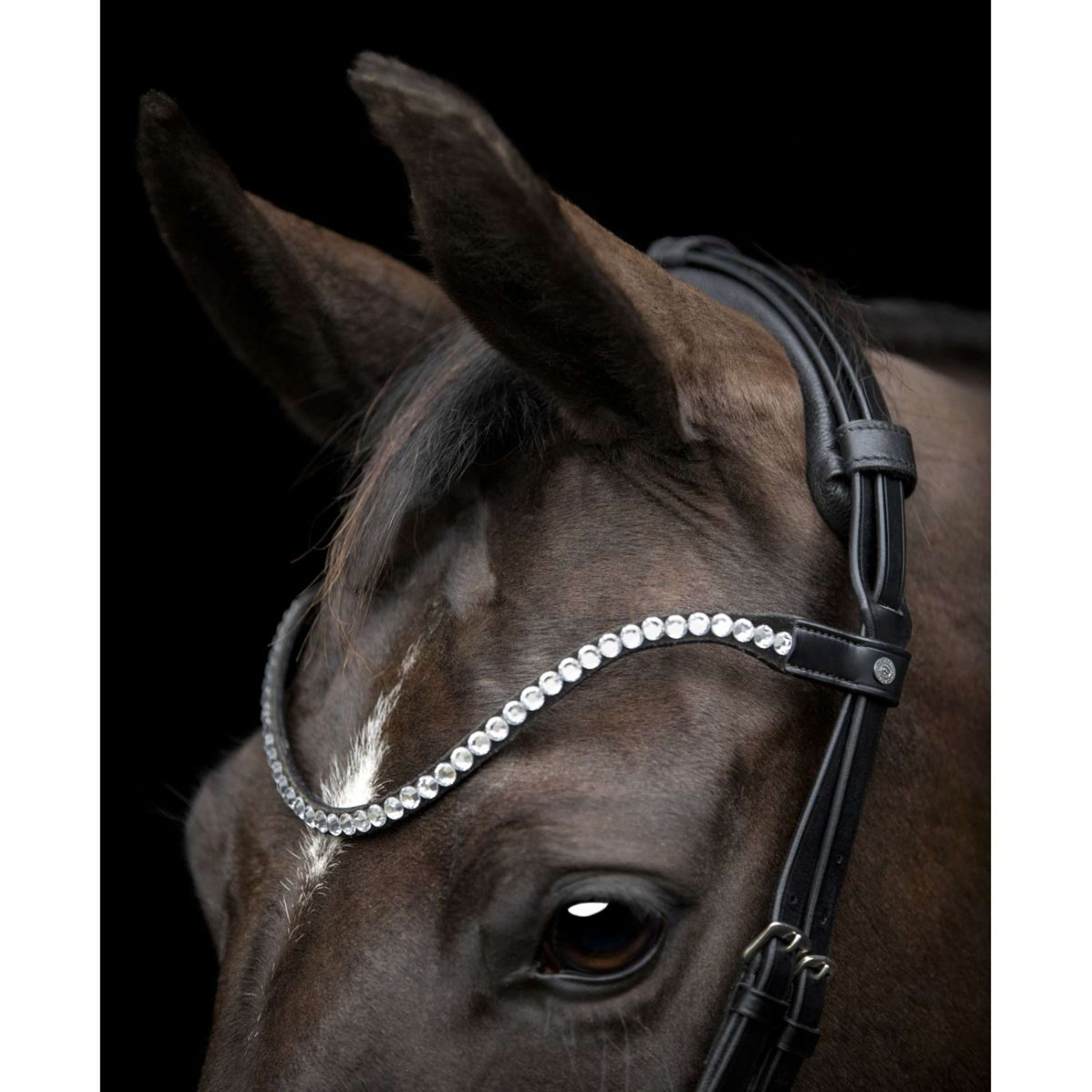 Catago Frontriem Gentle Zwart