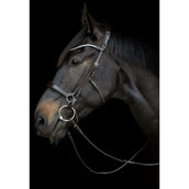 Catago Keelriem Gentle Bruin