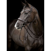 Catago Kopstuk Gentle Bruin