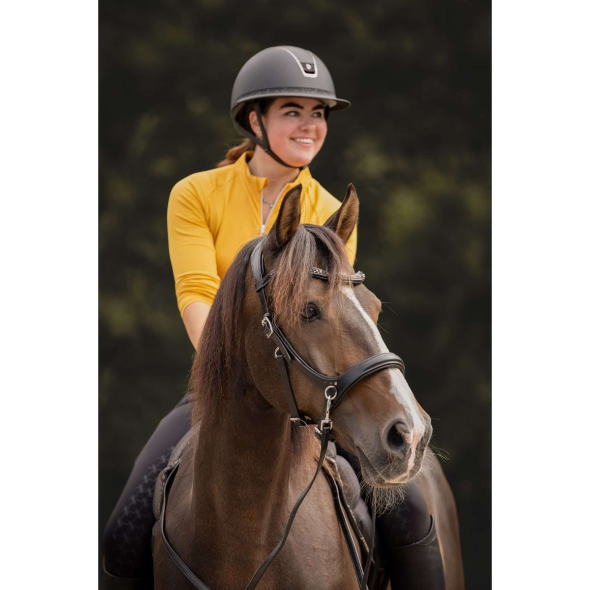 F.R.A. Bitloos Hoofdstel Moonlight Zwart