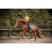 F.R.A. Balansteugel Whisper Bruin