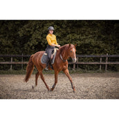 F.R.A. Balansteugel Whisper Bruin