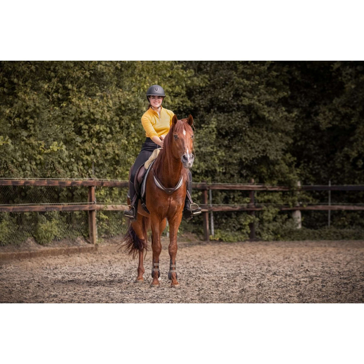 F.R.A. Balansteugel Whisper Bruin