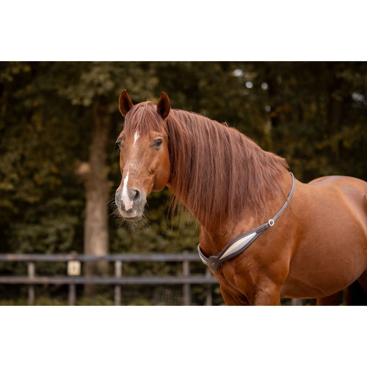 F.R.A. Balansteugel Whisper Bruin