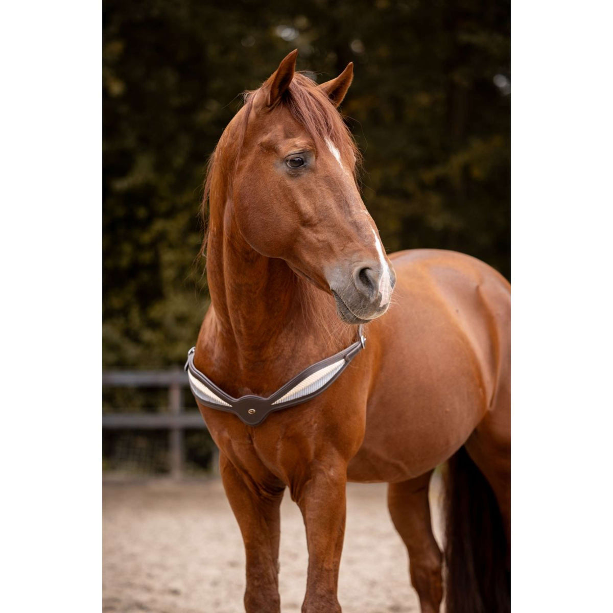 F.R.A. Balansteugel Whisper Bruin