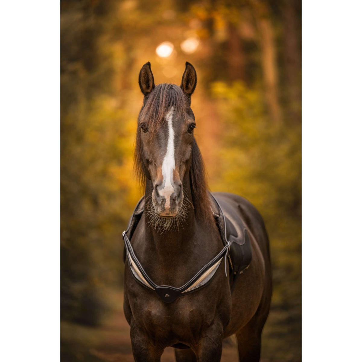 F.R.A. Balansteugel Whisper Zwart