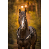 F.R.A. Balansteugel Whisper Zwart