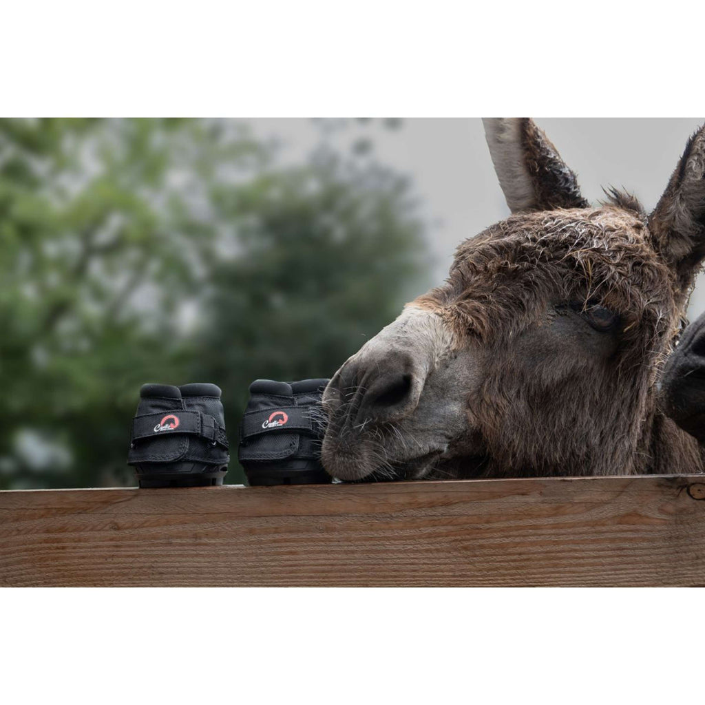 F.R.A. Cavallo Hoefschoen Ezel/Long Ear Boot Zwart