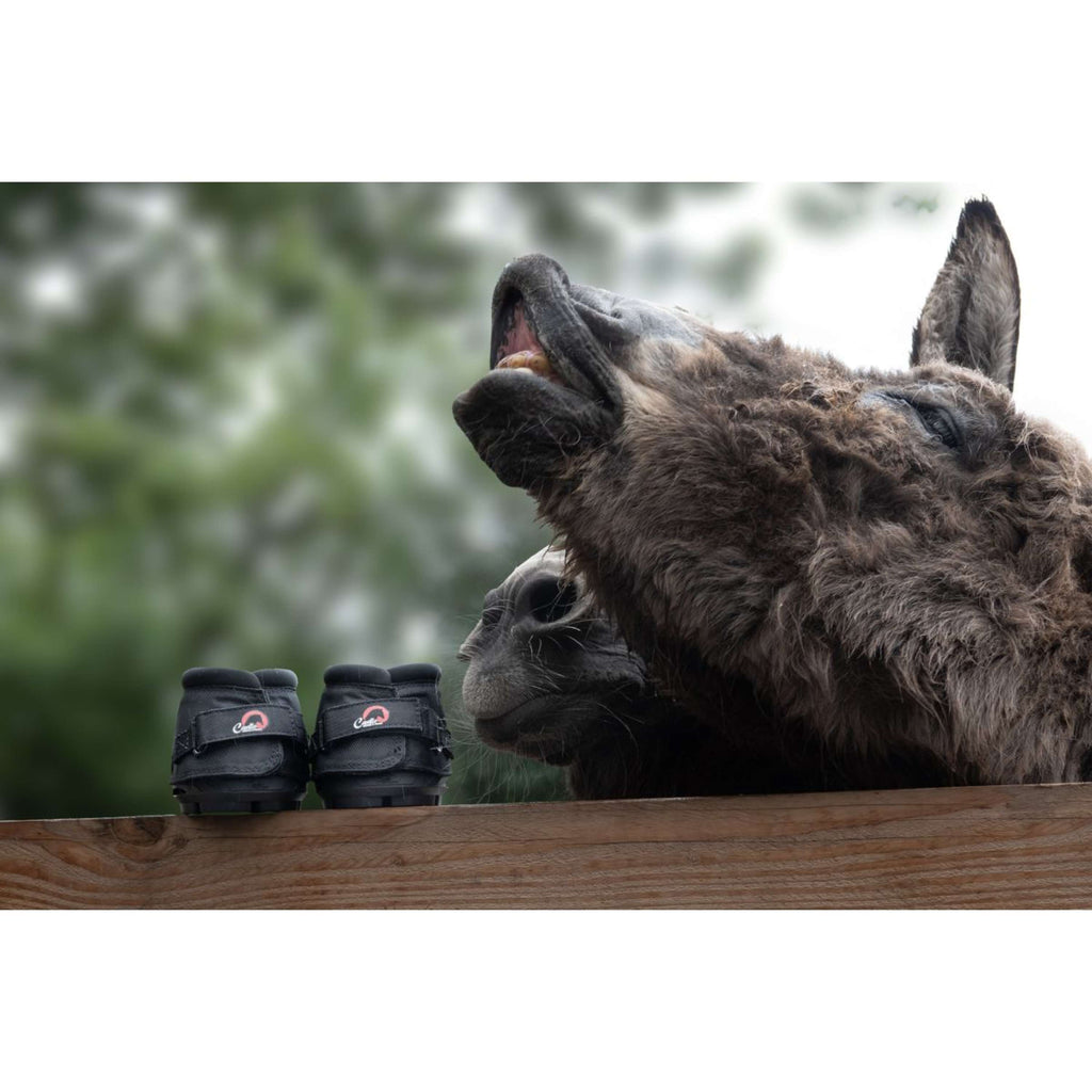 F.R.A. Cavallo Hoefschoen Ezel/Long Ear Boot Zwart