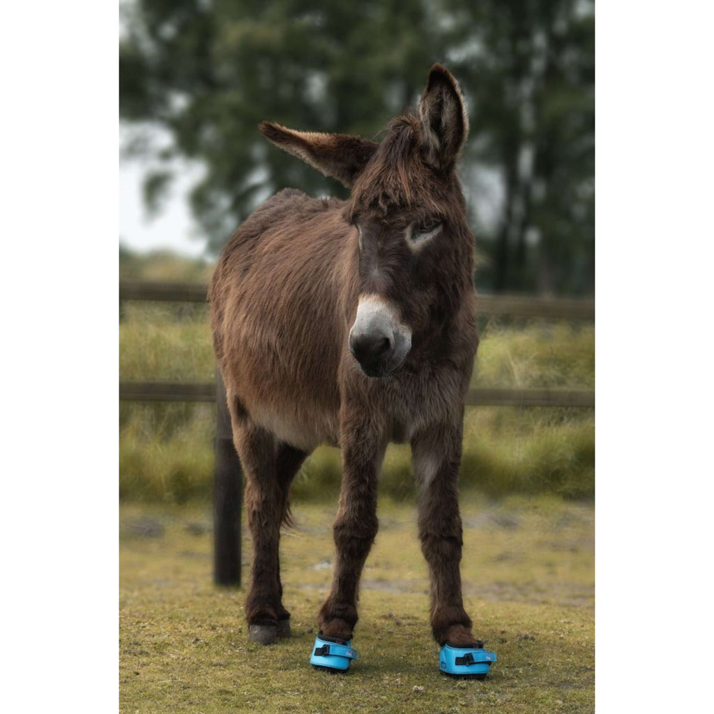 F.R.A. Cavallo Hoefschoen Ezel/Long Ear Boot Turquoise