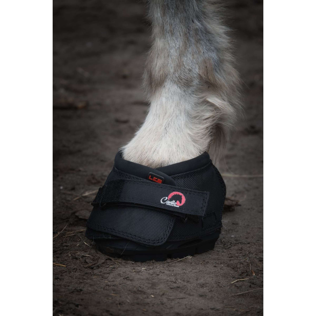F.R.A. Cavallo Horse & Rider Hoefschoen Ezel/LED Zwart