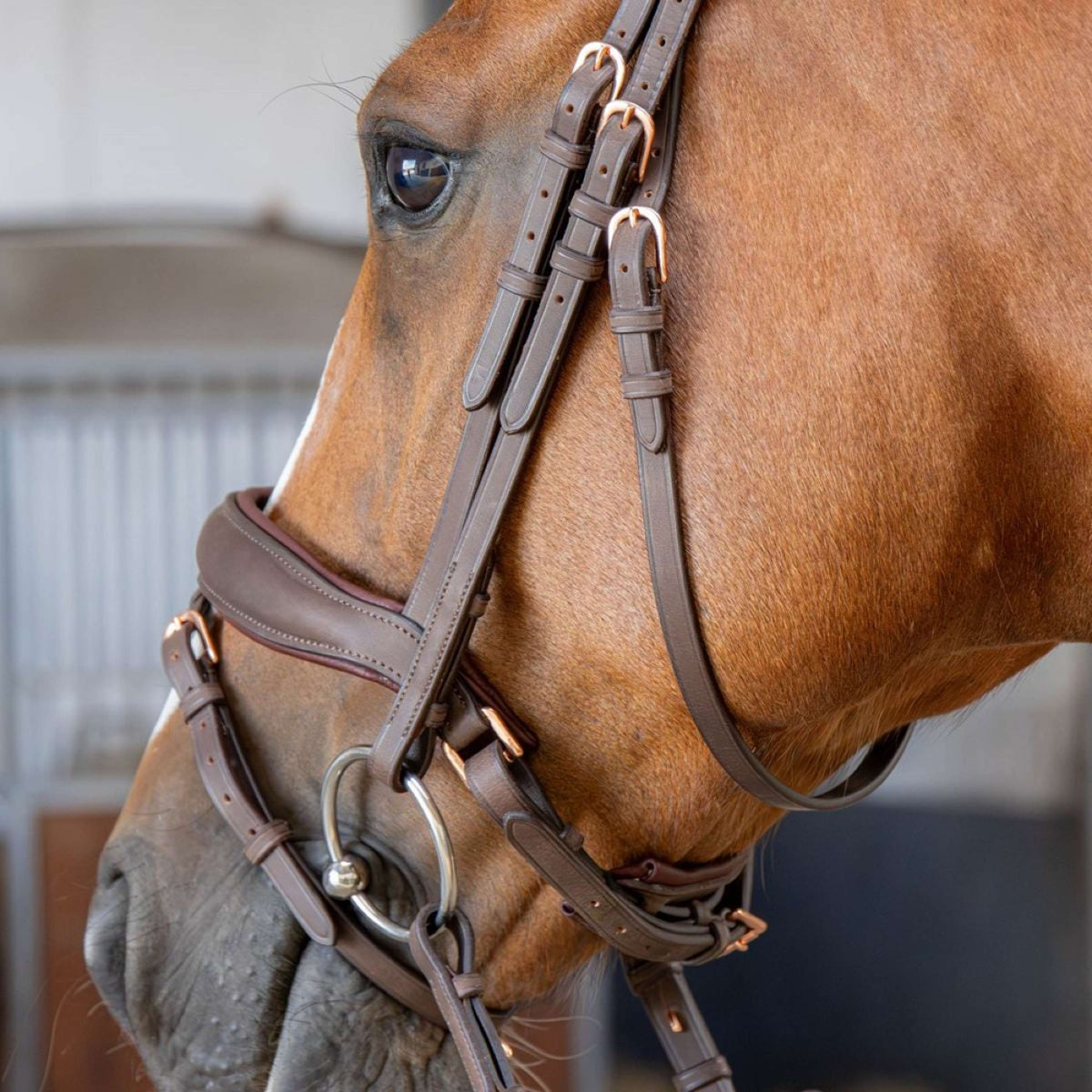 Harry's Horse Hoofdstel Bombastic Crystals Bruin