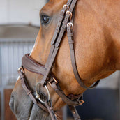 Harry's Horse Hoofdstel Bombastic Crystals Bruin