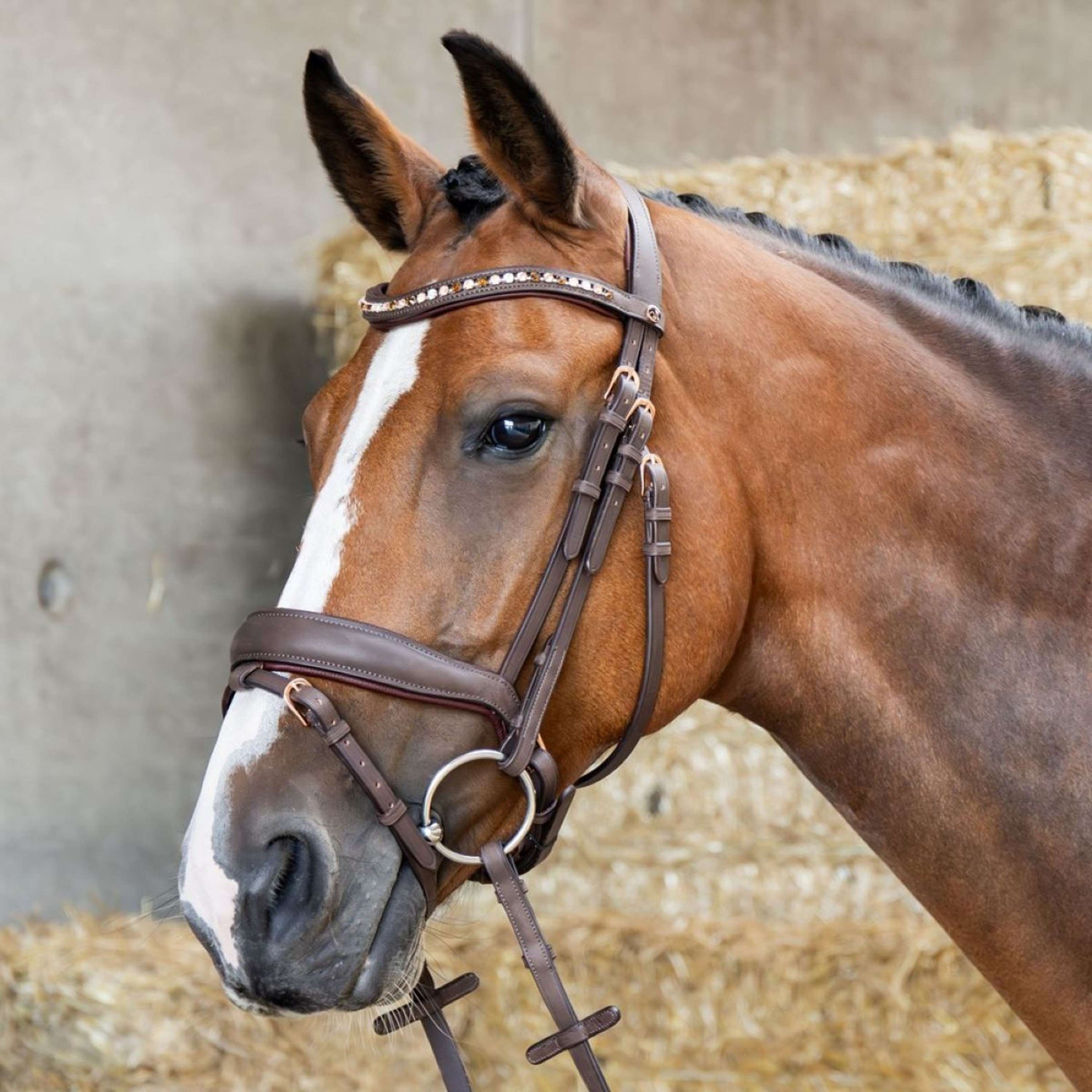 Harry's Horse Hoofdstel Bombastic Crystals Bruin Harry's Horse Hoofdstel Bombastic Crystals Bruin