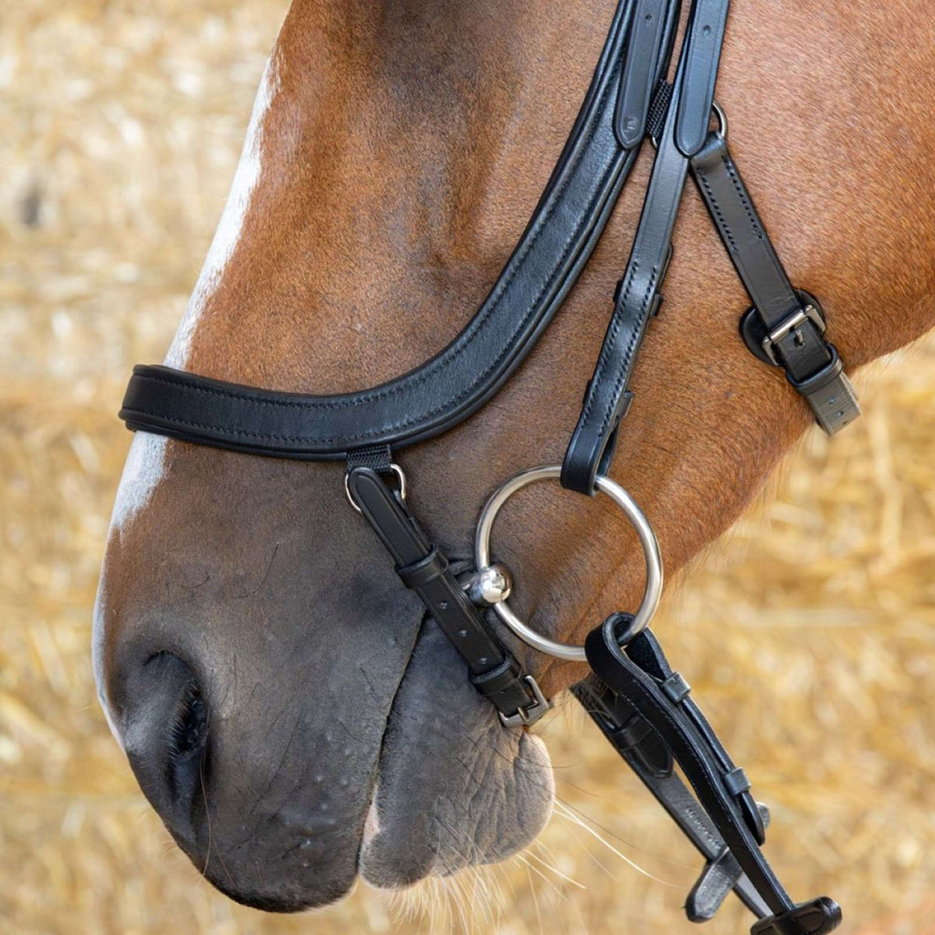 Harry's Horse Hoofdstel Anatomic Black Crystal Zwart