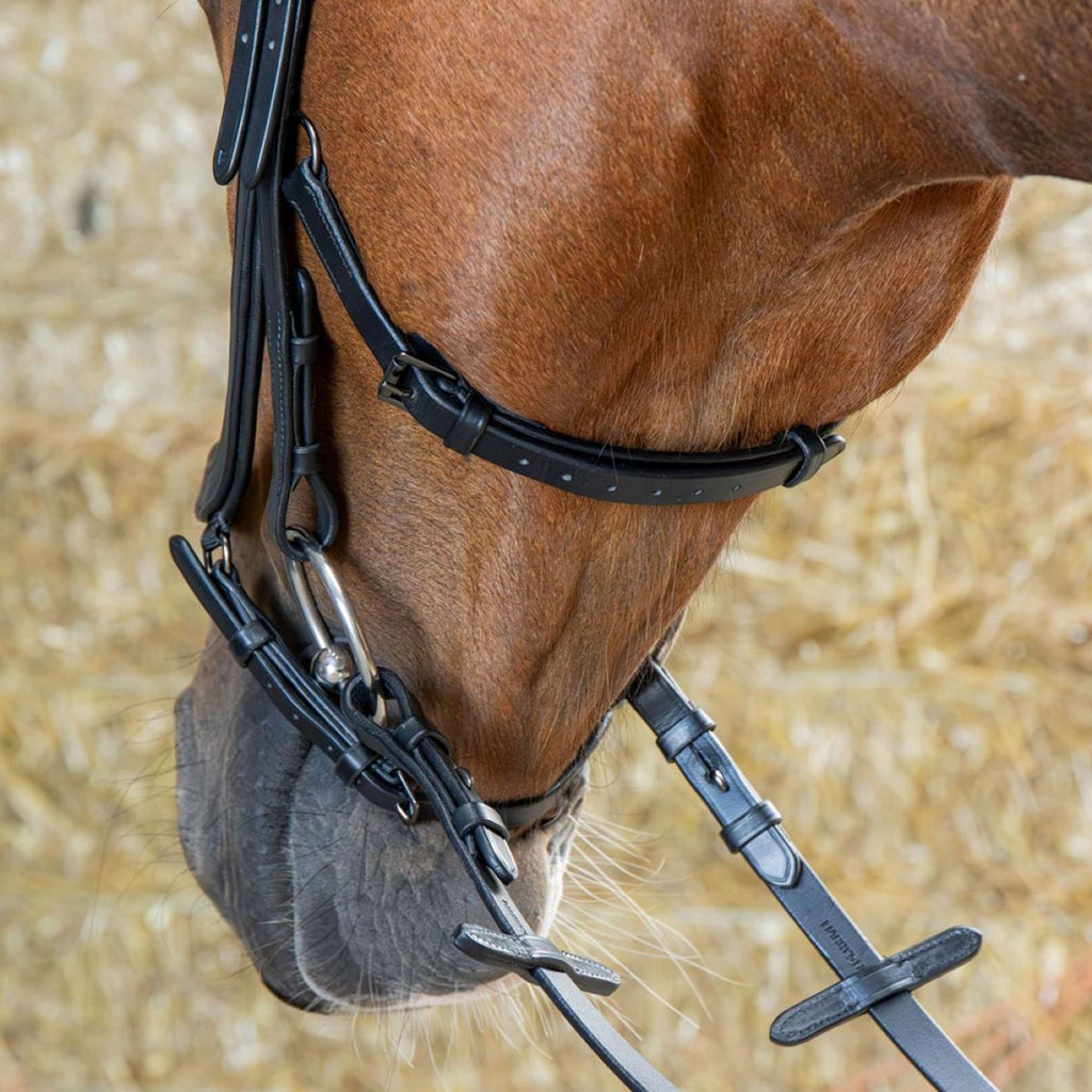 Harry's Horse Hoofdstel Anatomic Black Crystal Zwart