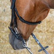 Harry's Horse Hoofdstel Anatomic Black Crystal Zwart
