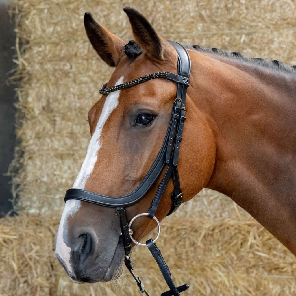 Harry's Horse Hoofdstel Anatomic Black Crystal Zwart