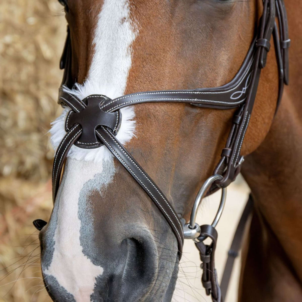 Harry's Horse Mexicaans Hoofdstel Anatomic Bruin