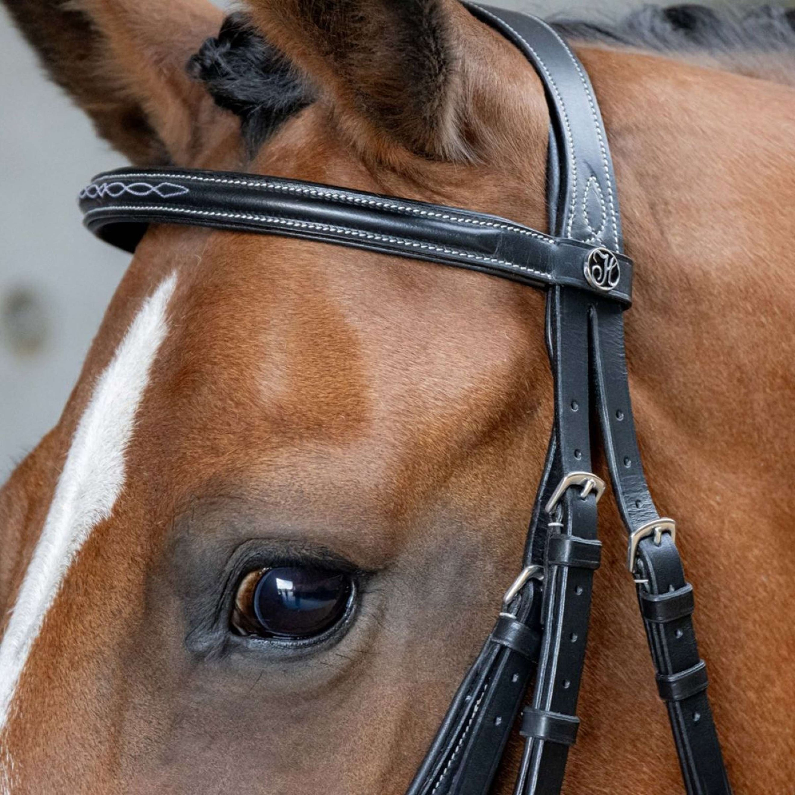 Harry's Horse Mexicaans Hoofdstel Anatomic Zwart Harry's Horse Mexicaans Hoofdstel Anatomic Zwart