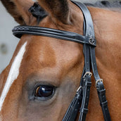 Harry's Horse Mexicaans Hoofdstel Anatomic Zwart