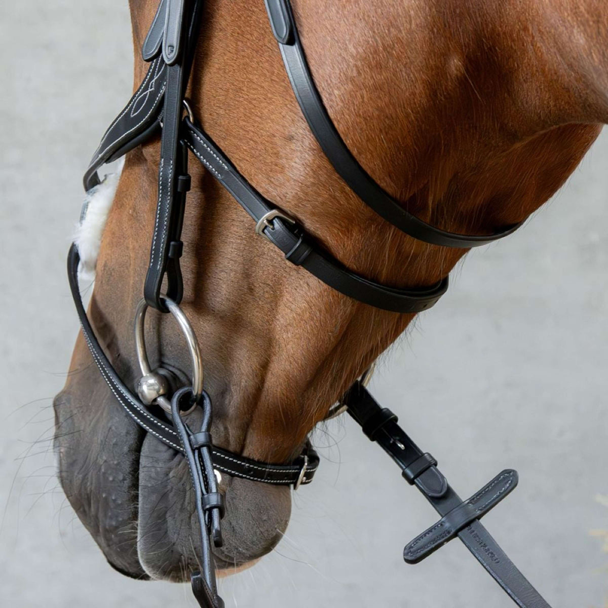 Harry's Horse Mexicaans Hoofdstel Anatomic Zwart