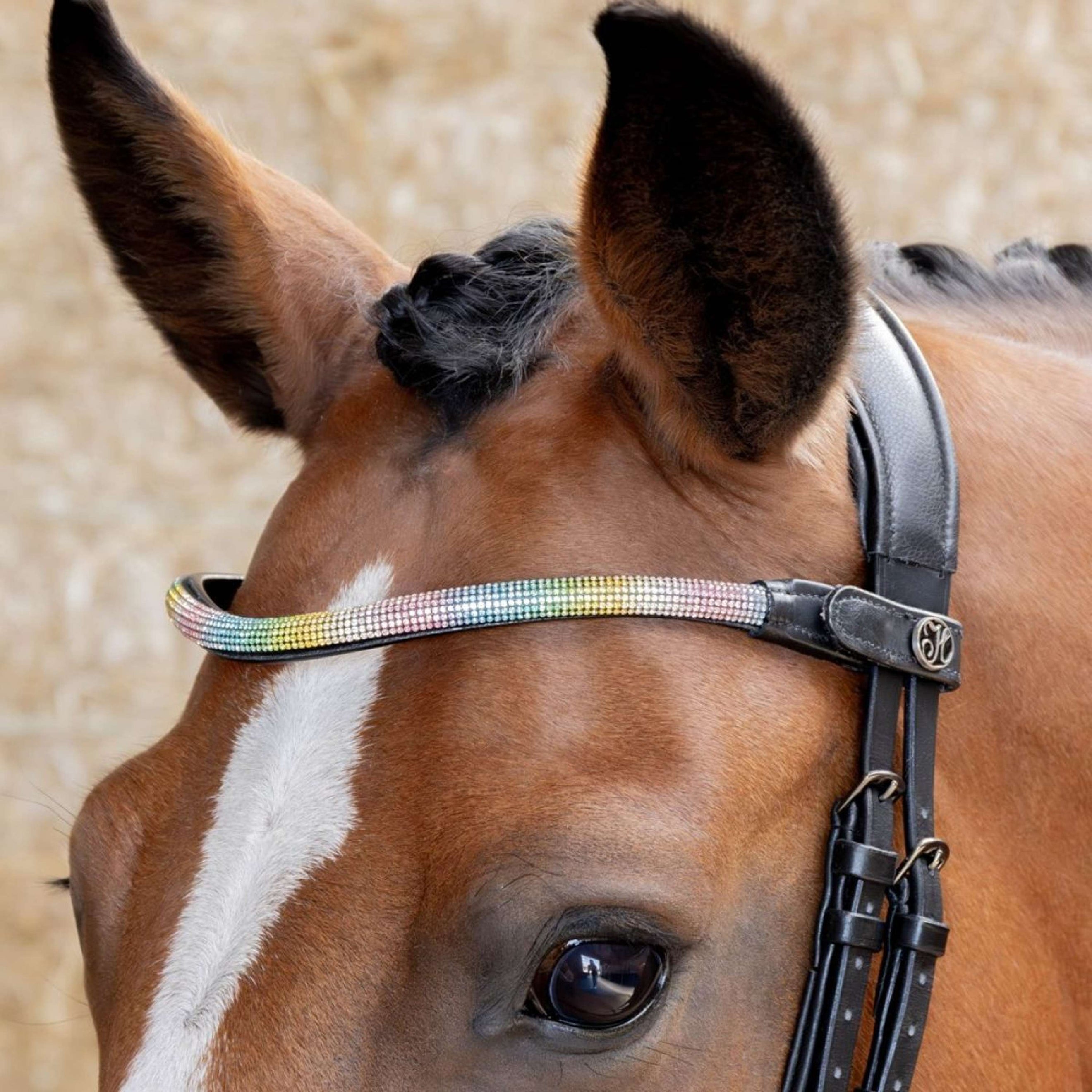 Harry's Horse Frontriem Rainbow Regenboog Harry's Horse Frontriem Rainbow Regenboog