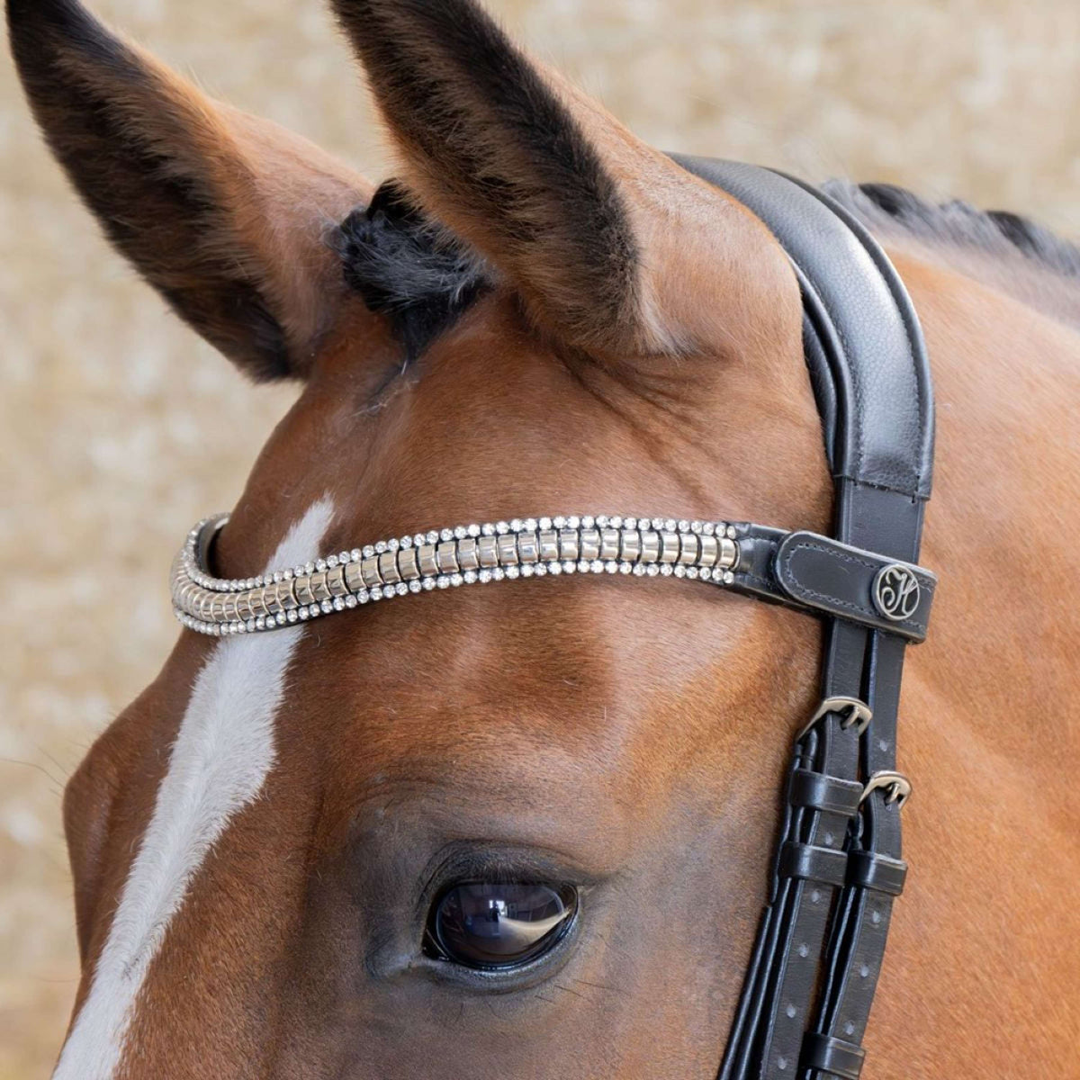 Harry's Horse Frontriem Clincher Zilver