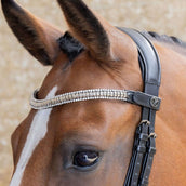 Harry's Horse Frontriem Clincher Zilver