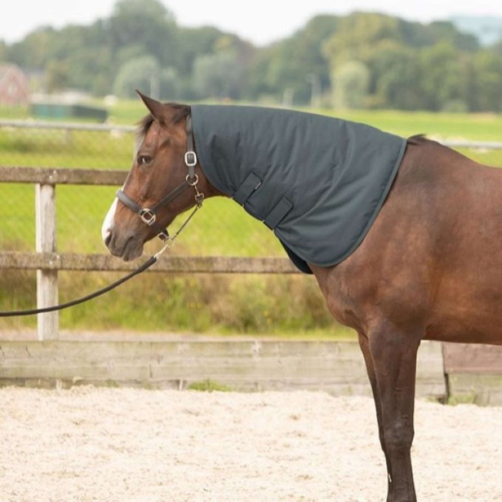 Harry's Horse Halsstuk Thor 200 Ebony