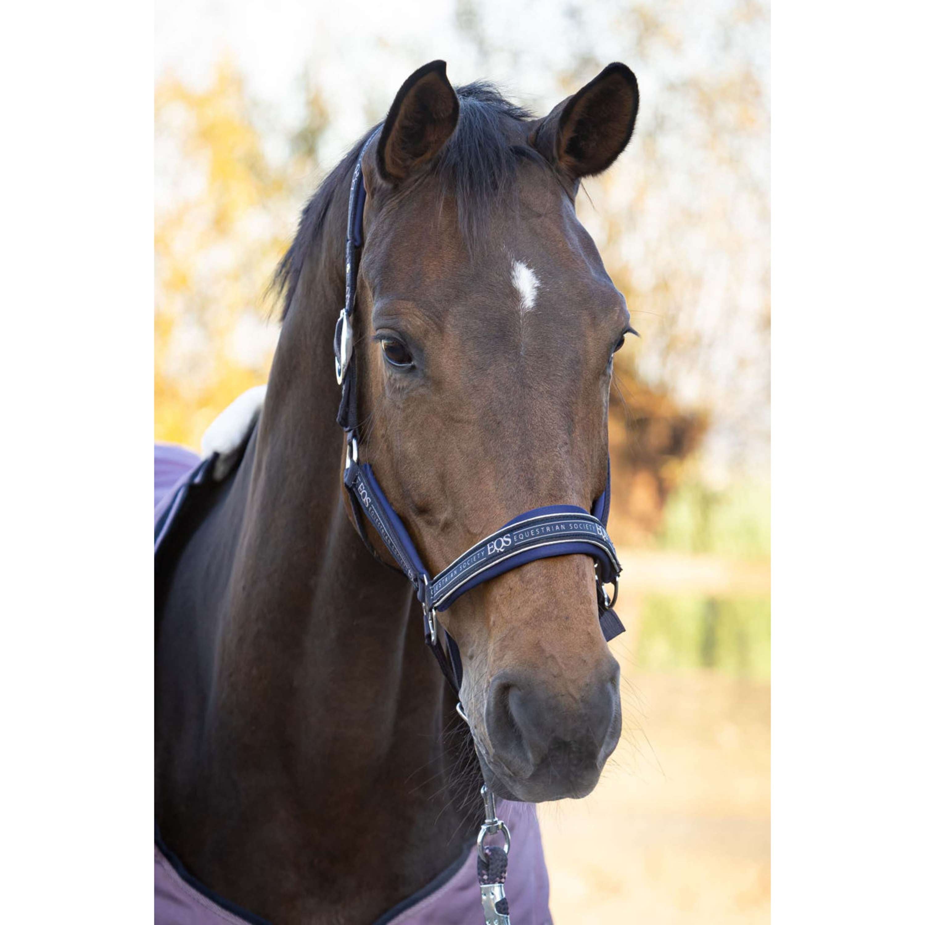 Harry's Horse Halsterset EQS Dark Navy