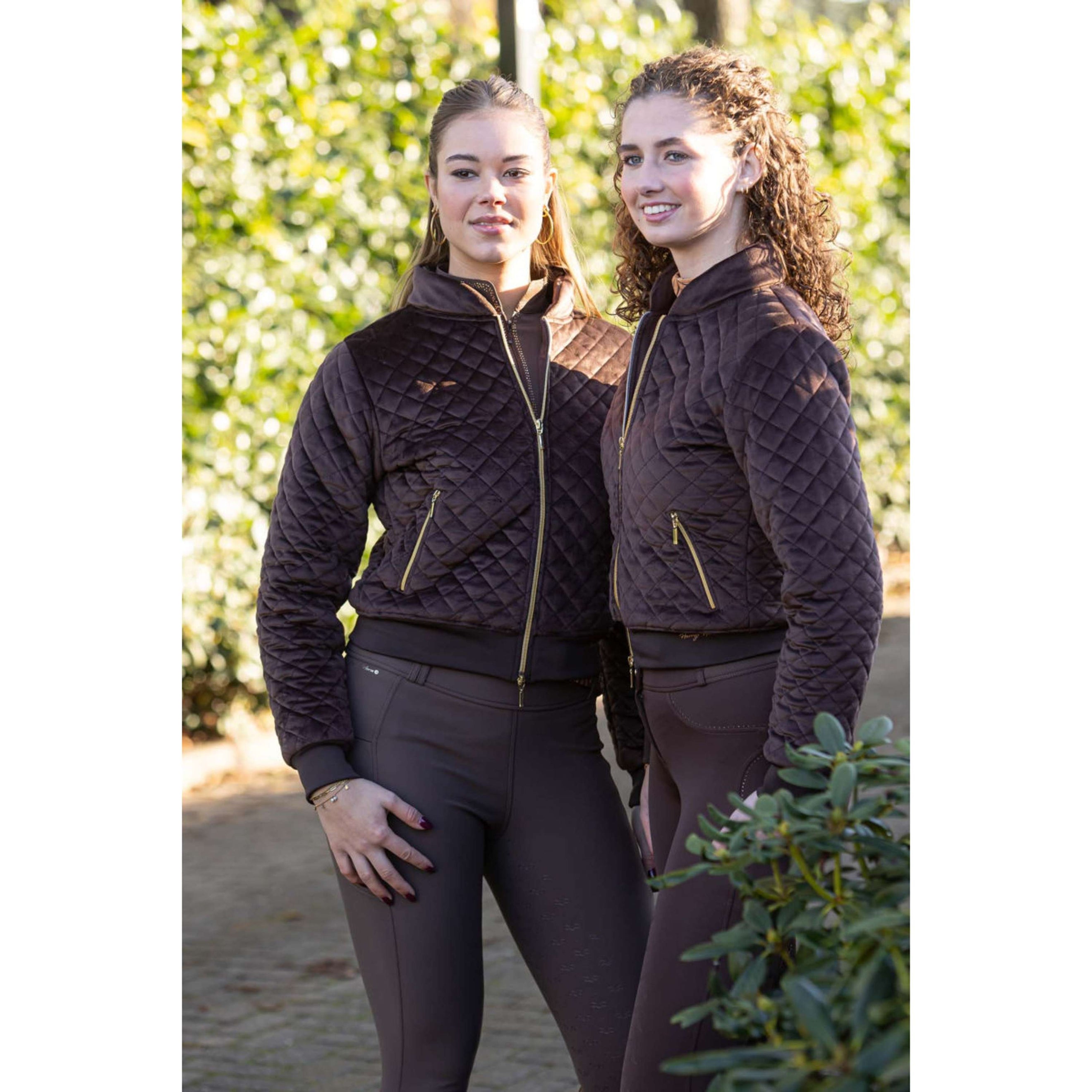 Harry's Horse Bomberjack Classy Bracken Harry's Horse Bomberjack Classy Bracken