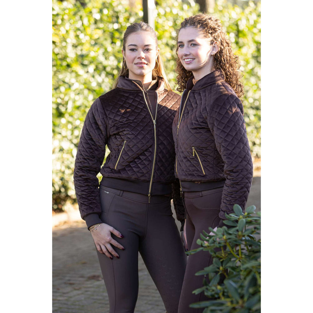 Harry's Horse Bomberjack Classy Bracken