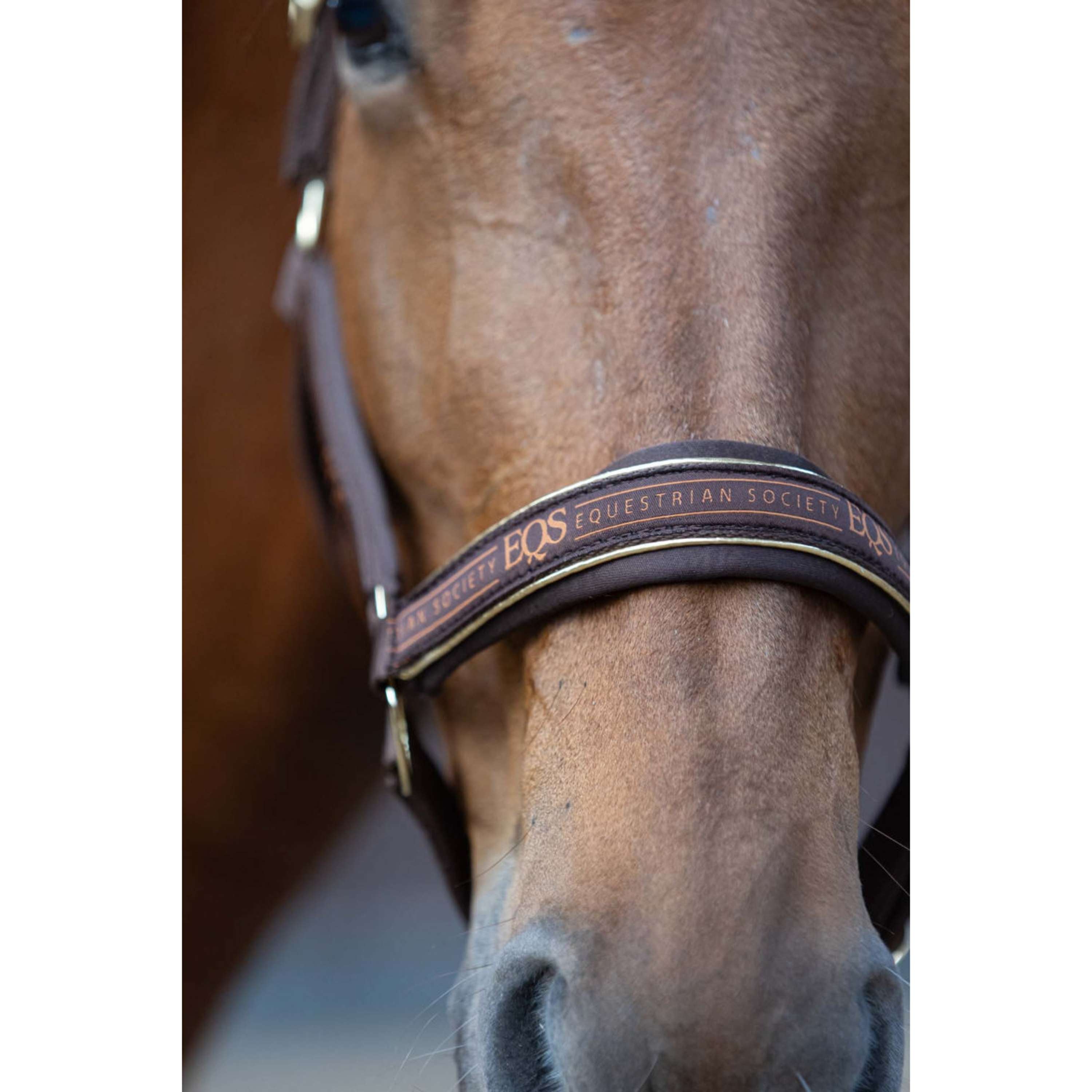 Harry's Horse Halsterset EQS Bracken
