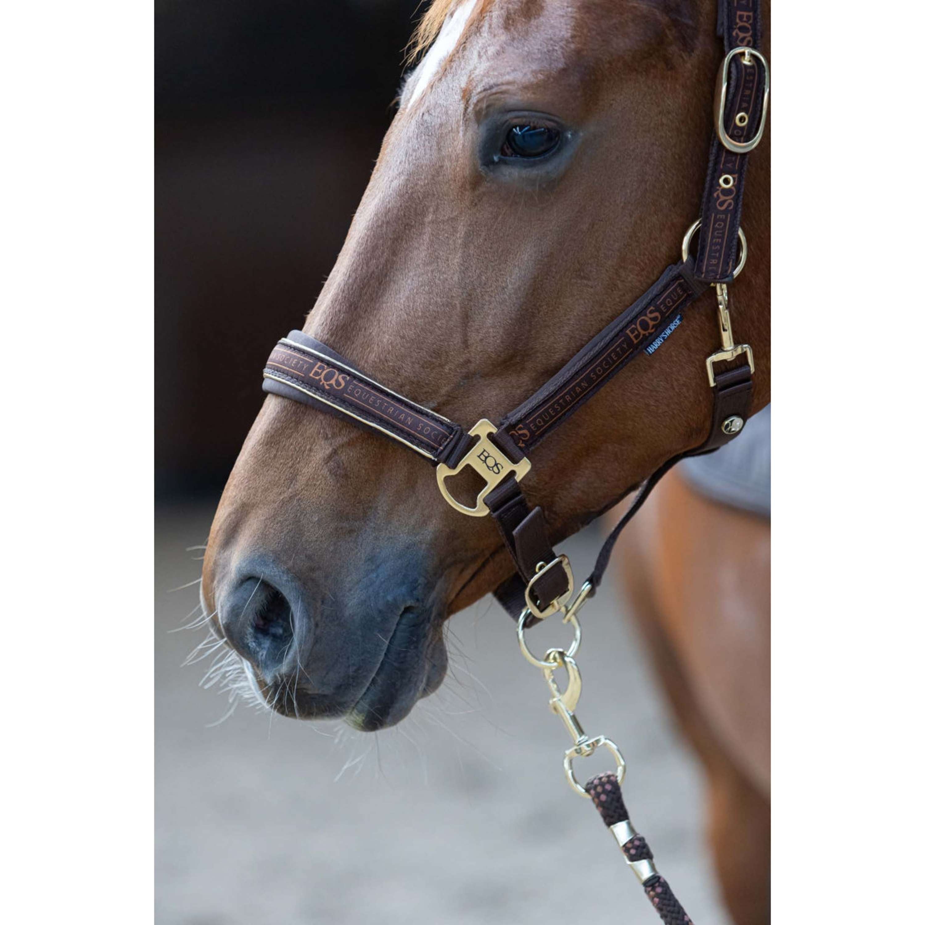 Harry's Horse Halsterset EQS Bracken