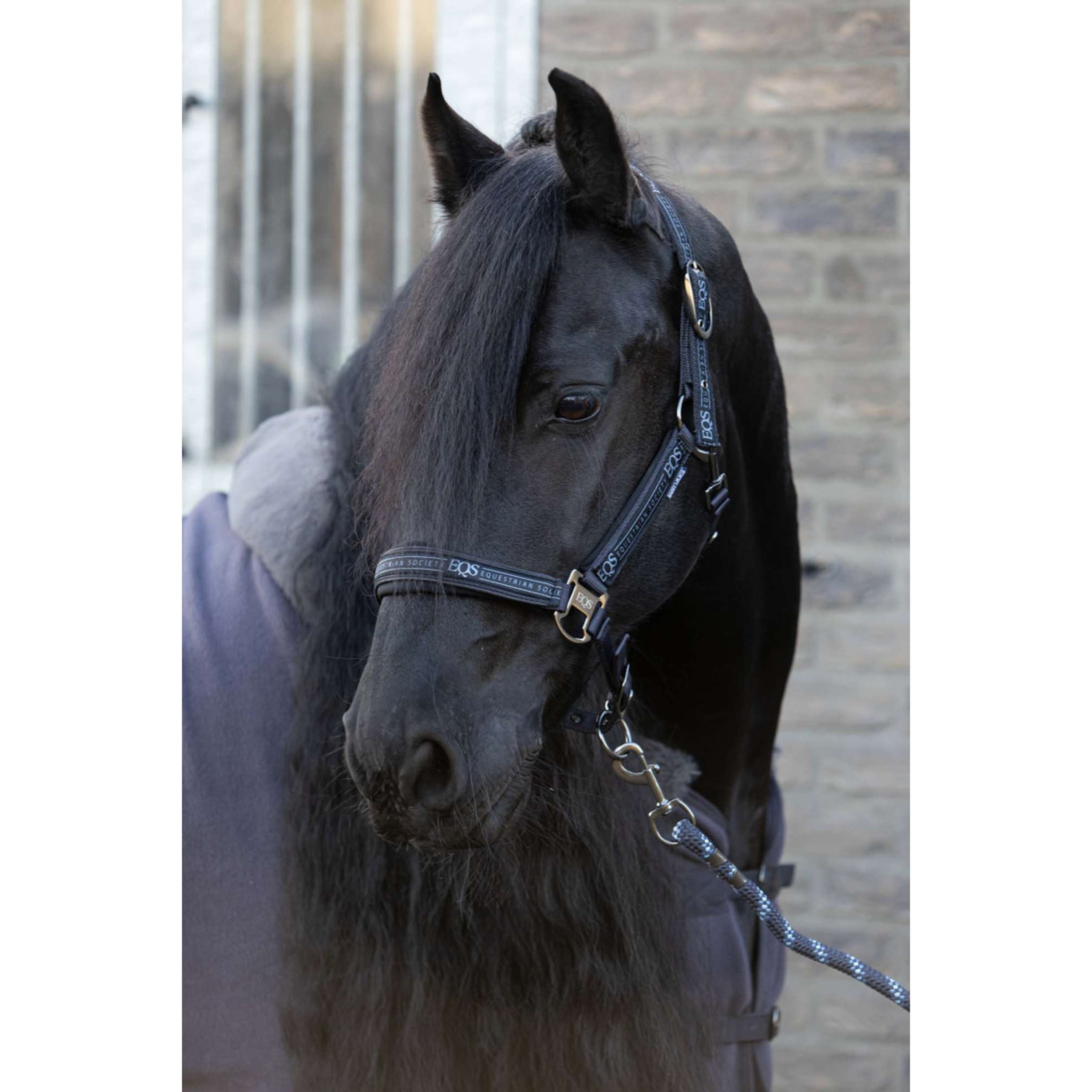 Harry's Horse Halsterset EQS Black-Sand