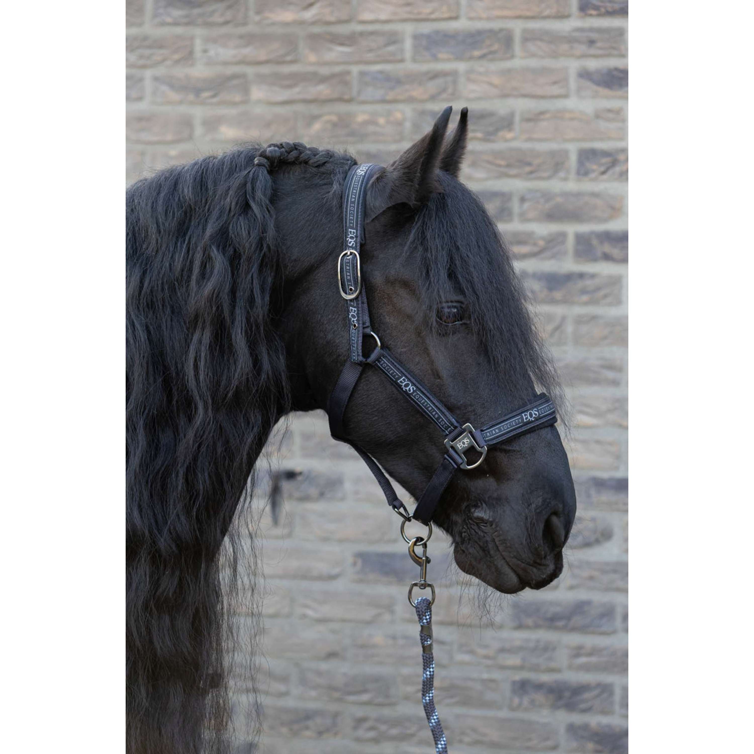 Harry's Horse Halsterset EQS Black-Sand